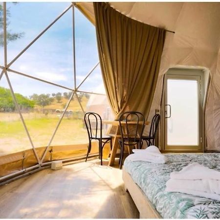 Вилла Caravans Park & Glamping Tents In The Vineyard Турда Экстерьер фото
