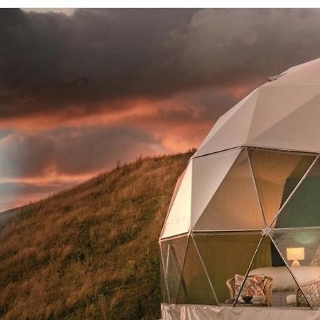 Вилла Caravans Park & Glamping Tents In The Vineyard Турда Экстерьер фото