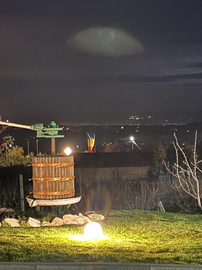Вилла Caravans Park & Glamping Tents In The Vineyard Турда Экстерьер фото