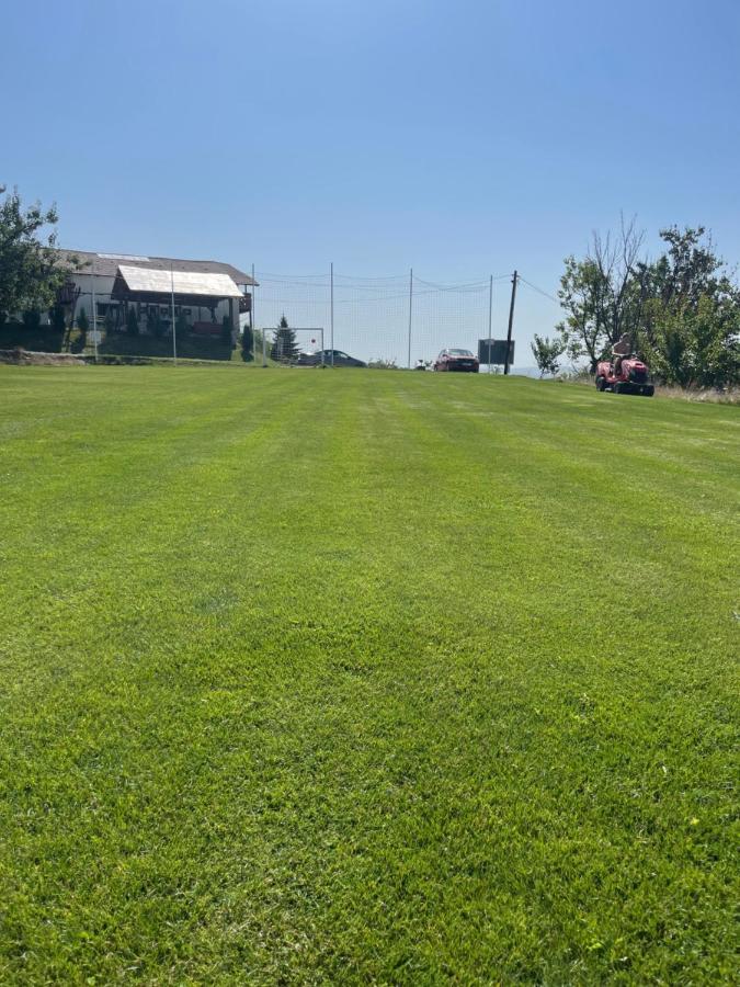 Вилла Caravans Park & Glamping Tents In The Vineyard Турда Экстерьер фото