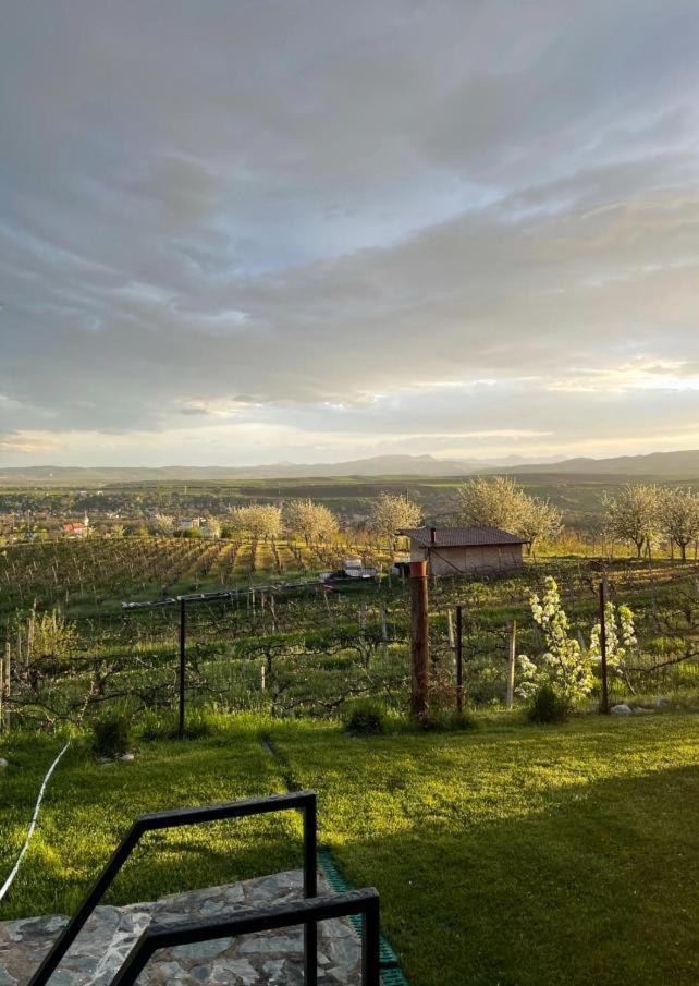 Вилла Caravans Park & Glamping Tents In The Vineyard Турда Экстерьер фото